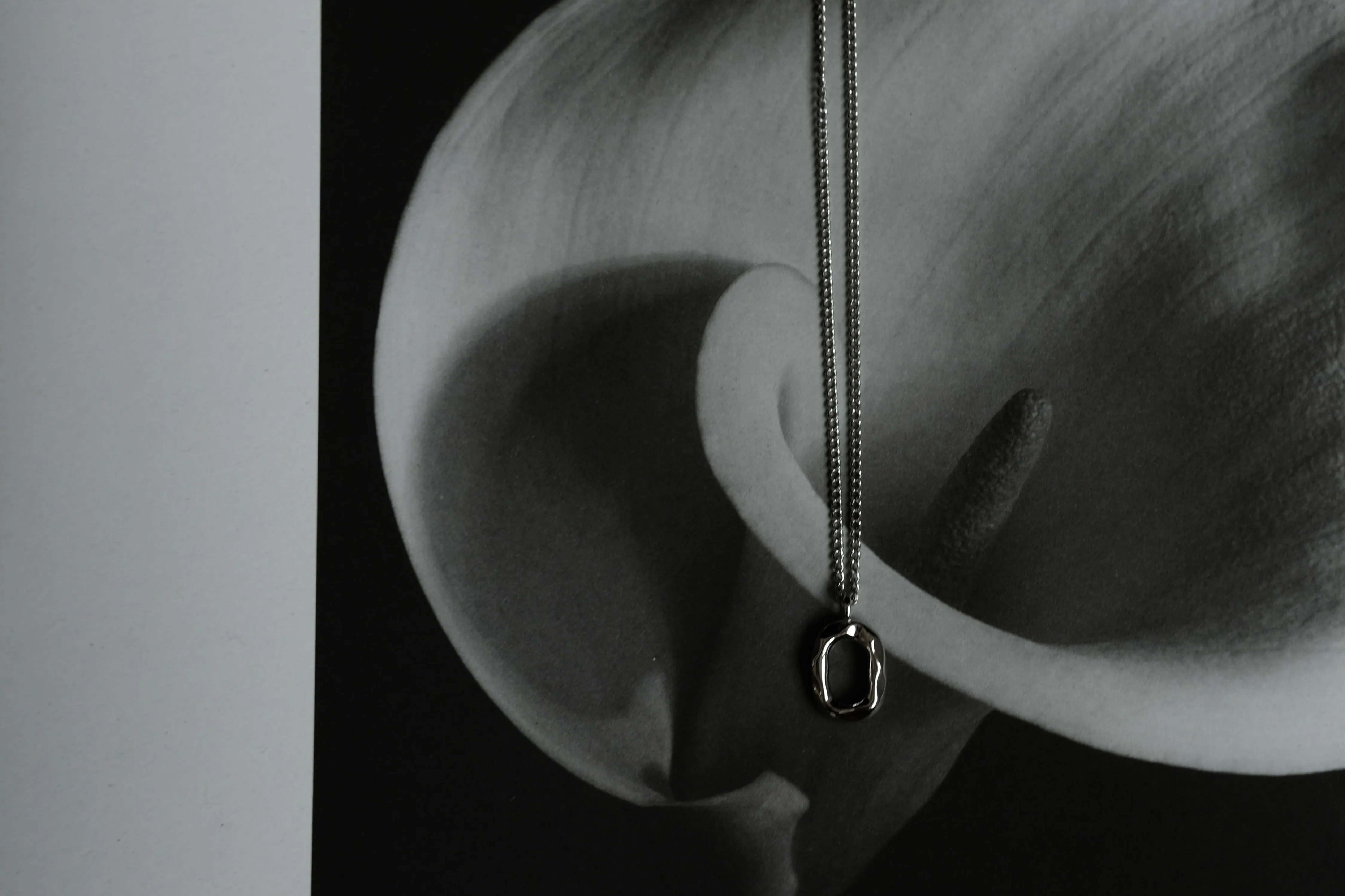 Oval Clavicle Chain Silver
