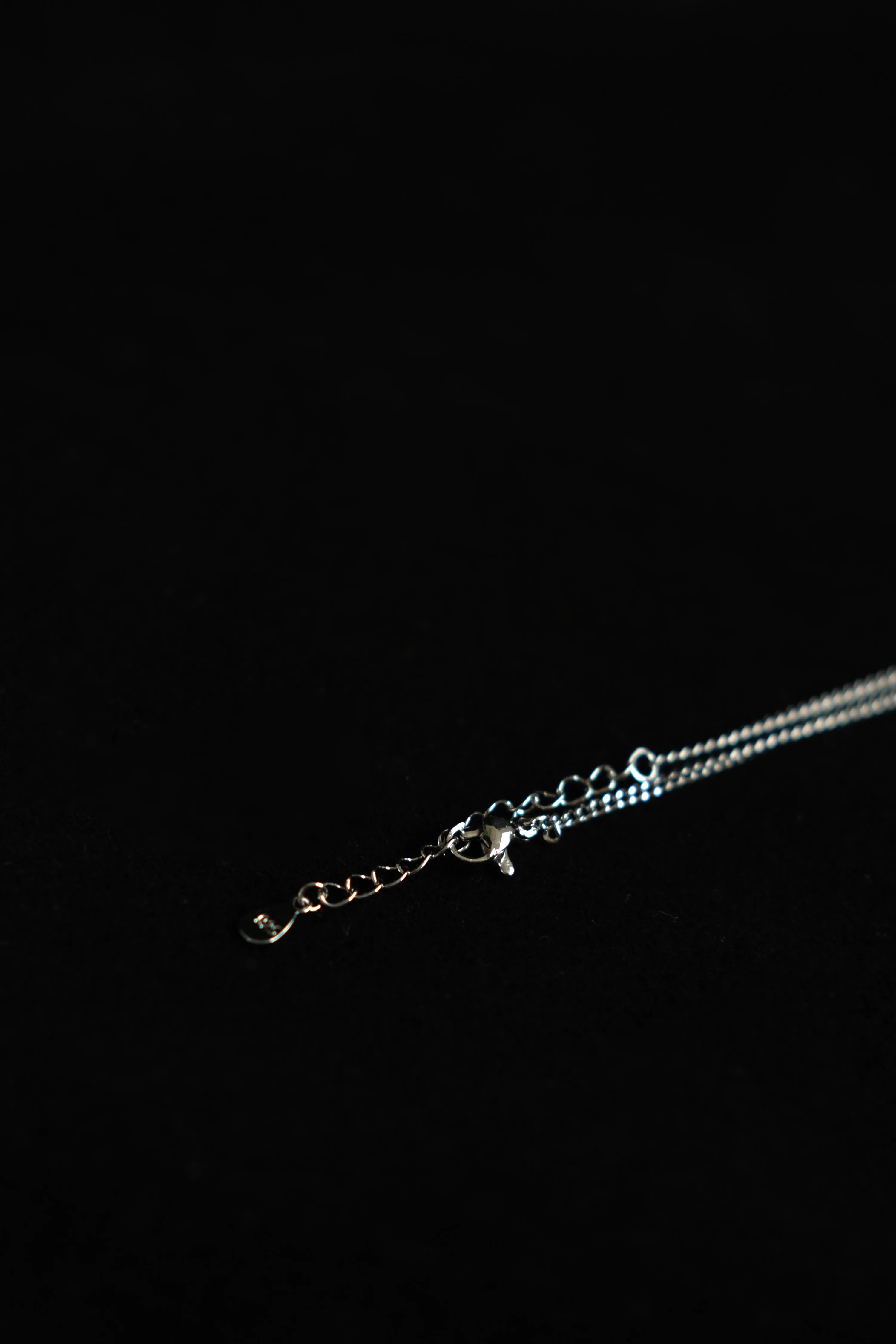 Oval Clavicle Chain Silver